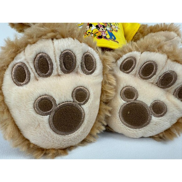 Walt Disney Parks Happy Birthday Duffy Bear  Shirt Hat 17” Stuffed Animal Plush - Picture 3 of 10